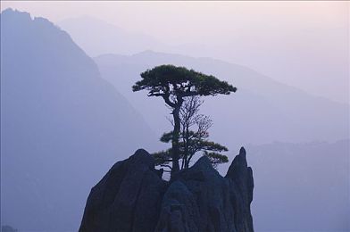 两个人看的视频仙踪林入口无码｜净网守护者：揭开网络迷雾，共建清朗空间-2