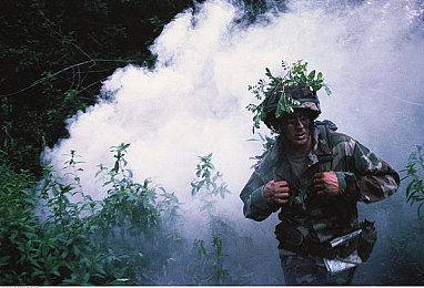 公交车上的诗请和小诗的背景故事背景介绍,沉浸在诗意日常：解锁公交车上的情感冒险之旅-1