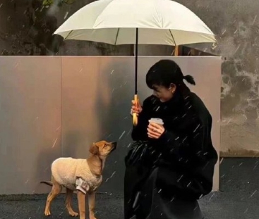 羞羞答答直播,羞涩主播的恋爱冒险 心跳加速的直播成长之旅-2